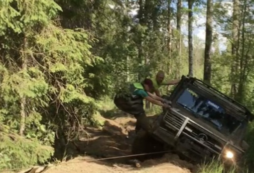 Приключение в лесу